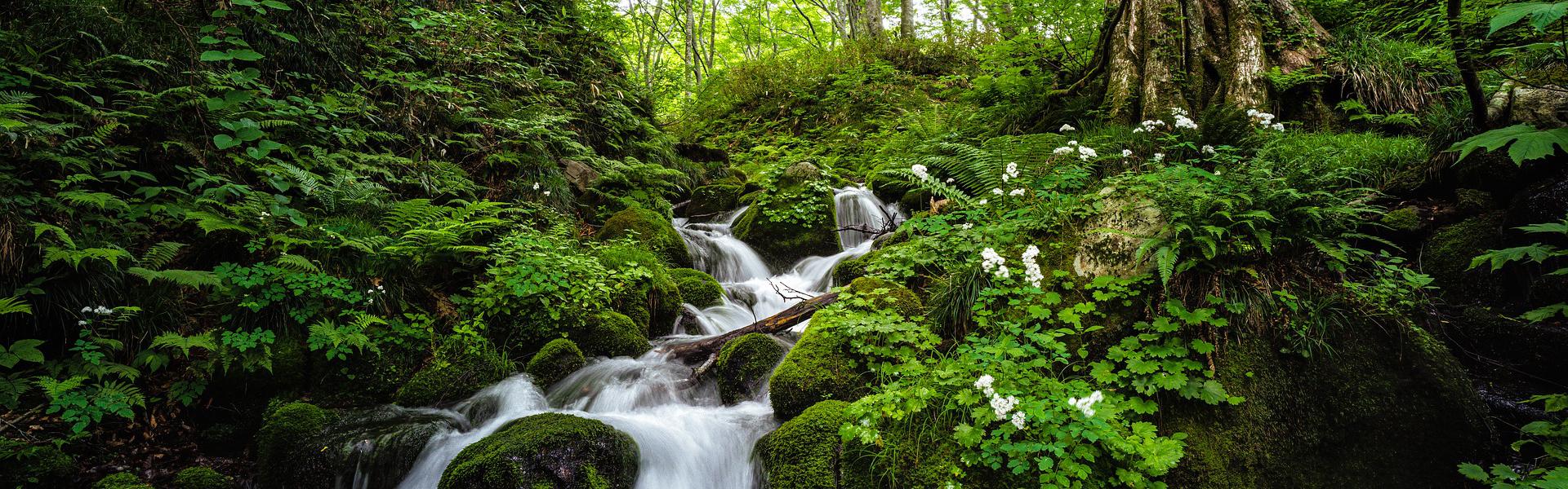 合板DL教材の授業風景